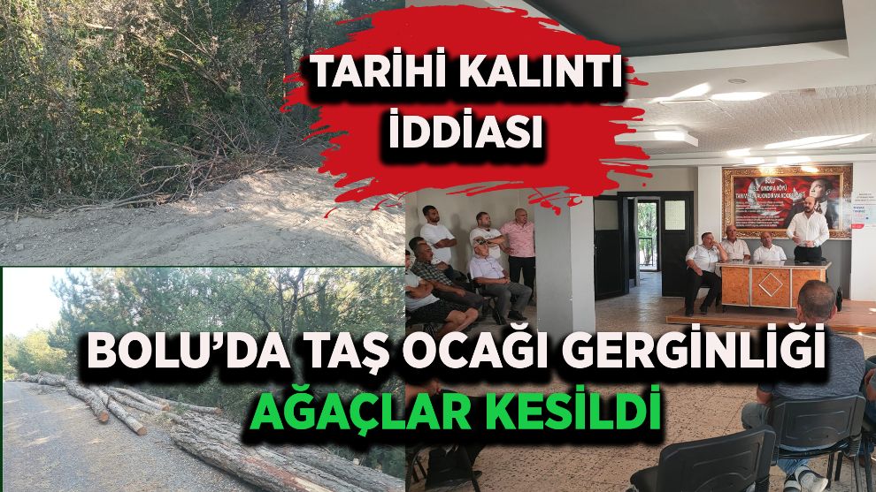 Bolu'da taş ocağı gerginliği: ağaçlar kesildi, tarihi kalıntı iddiası