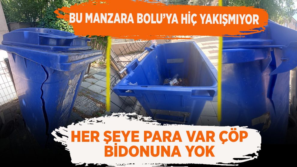 Bu manzara Bolu'ya hiç yakışmıyor