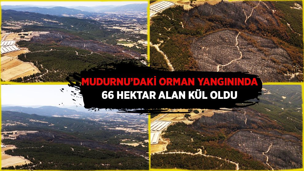 Mudurnu'daki orman yangınında 66 hektar alan kül oldu