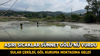 Aşırı sıcaklar Sünnet Gölü'nü vurdu: Sular çekildi, göl kuruma noktasına geldi