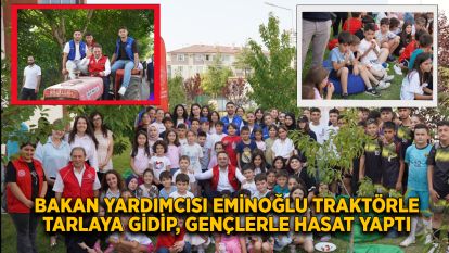 Bakan Yardımcısı Eminoğlu traktörle tarlaya gidip, gençlerle hasat yaptı