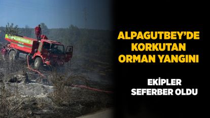 Bolu Alpagutbey'de korkutan orman yangını