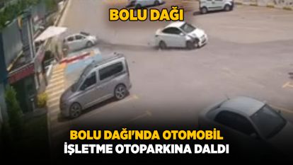 Bolu Dağı'nda otomobil, işletme otoparkına daldı