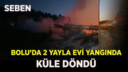 Bolu'da 2 yayla evi yangında küle döndü
