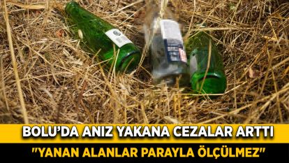 Bolu'da anız yakana cezalar arttı: "Yanan alanlar parayla ölçülmez"