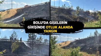 Bolu'da gişelerin girişinde otluk alanda yangın
