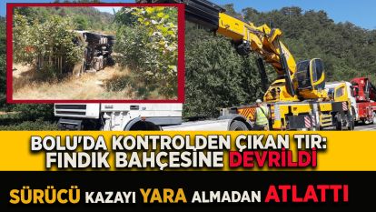Bolu'da kontrolden çıkan tır fındık bahçesine devrildi