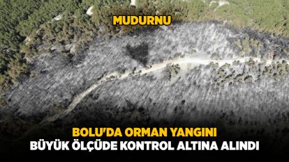 Bolu'da orman yangını büyük ölçüde kontrol altına alındı