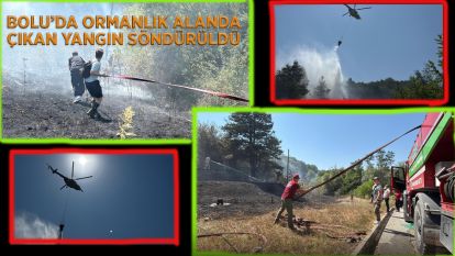 Bolu'da ormanlık alanda çıkan yangın büyümeden söndürüldü