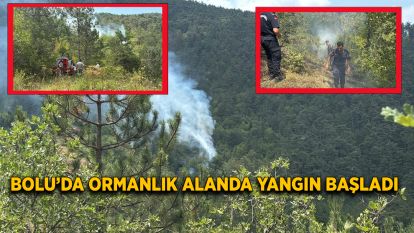 Bolu'da ormanlık alanda yangın başladı