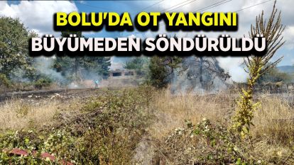 Bolu'da ot yangını büyümeden söndürüldü