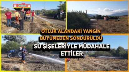 Bolu'da otluk alandaki yangın büyümeden söndürüldü: Su şişeleriyle müdahale ettiler