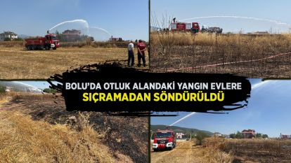 Bolu'da otluk alandaki yangın evlere sıçramadan söndürüldü
