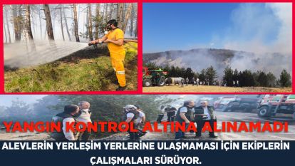 Bolu'daki orman yangını 5.saatinde