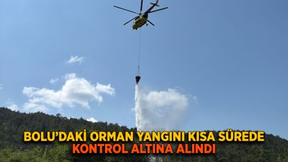 Bolu'daki orman yangını kısa sürede kontrol altına alındı