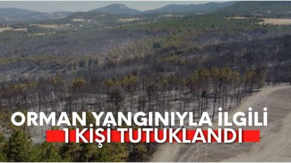 Bolu'daki orman yangınıyla ilgili 1 kişi tutuklandı