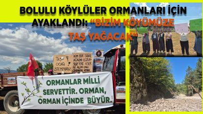 Bolulu köylüler ormanları için ayaklandı: “Bizim köyümüze taş yağacak“