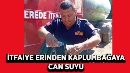İtfaiye erinden kaplumbağaya can suyu