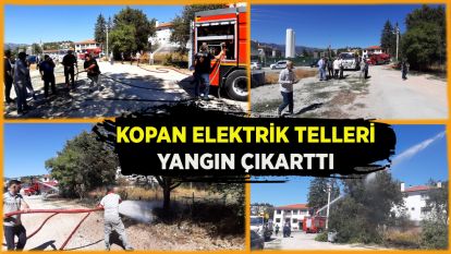 Kopan elektrik telleri yangın çıkarttı