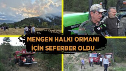 Mengen halkı ormanı için seferber oldu