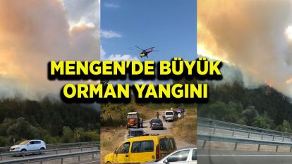 Mengen'de büyük orman yangını