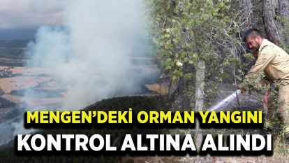 Orman yangını kontrol altına alındı