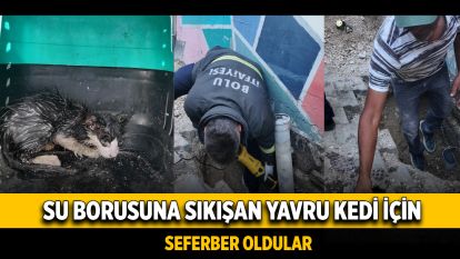 Su borusuna sıkışan yavru kedi için seferber oldular