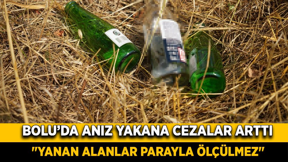 Bolu'da anız yakana cezalar arttı: "Yanan alanlar parayla ölçülmez"