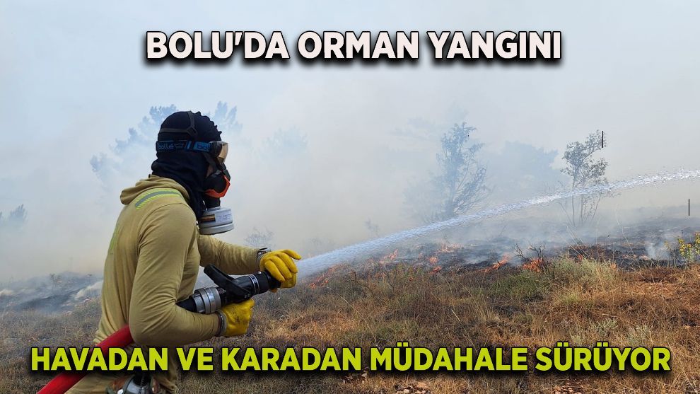 Bolu'da orman yangını: Havadan ve karadan müdahale sürüyor