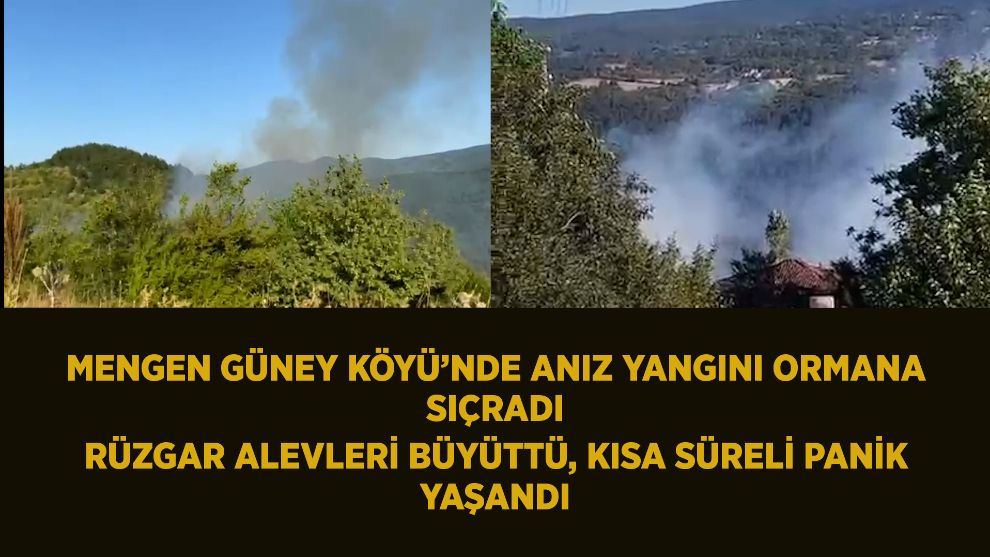 Mengen Güney Köyü'nde Anız Yangını Ormana Sıçradı