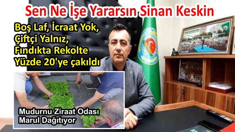 Boş Laf, İcraat Yok, Çiftçi Yalnız, Fındıkta Rekolte Yüzde 20’ye çakıldı Sen Ne İşe Yararsın Sinan Keskin