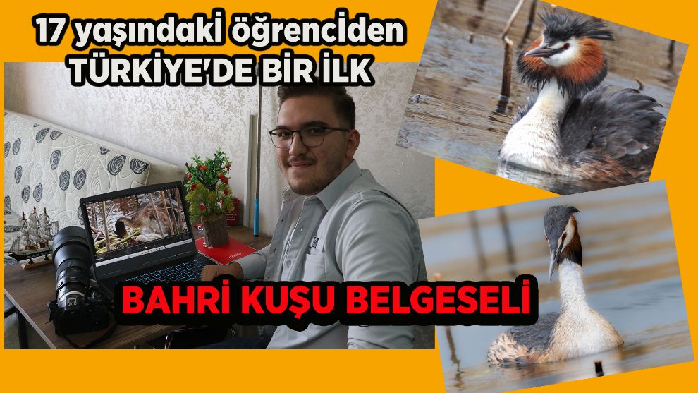 17 yaşındaki öğrenciden Türkiye'de bir ilk: Bahri kuşu belgeseli