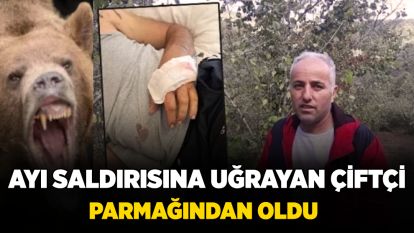 Ayı saldırısına uğrayan çiftçi, parmağından oldu