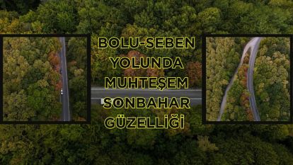 Bolu-Seben yolunda muhteşem sonbahar güzelliği
