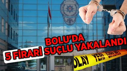 BOLU'DA 5 FİRARİ SUÇLU YAKALANDI