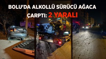 Bolu'da alkollü sürücü ağaca çarptı: 2 yaralı
