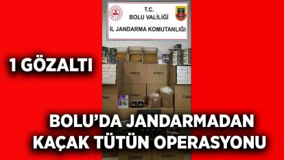 Bolu'da Jandarmadan Kaçak Tütün Operasyonu: 1 Gözaltı