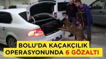 Bolu'da kaçakçılık operasyonunda 6 gözaltı
