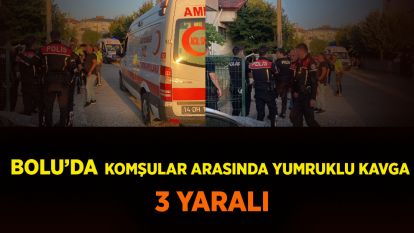Bolu'da komşular arasında yumruklu kavga: 3 yaralı