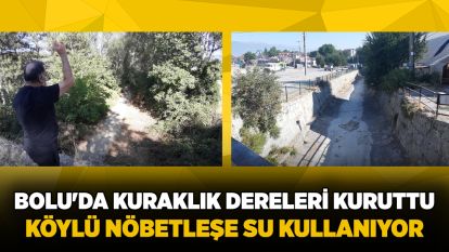 Bolu'da kuraklık dereleri kuruttu, köylü nöbetleşe su kullanıyor