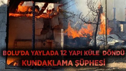 Bolu'da yaylada 12 yapı küle döndü: Kundaklama şüphesi
