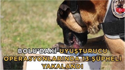 Bolu'daki uyuşturucu operasyonlarında 13 şüpheli yakalandı