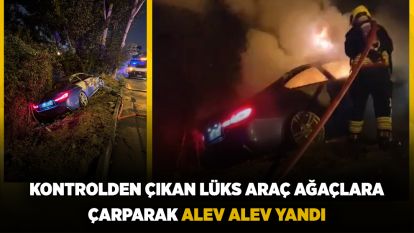 Kontrolden çıkan lüks araç ağaçlara çarparak alev alev yandı