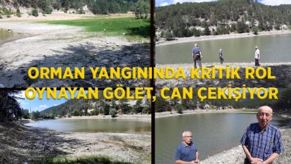 Orman yangınında kritik rol oynayan gölet, can çekişiyor