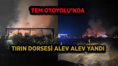TEM Otoyolu'nda tırın dorsesi alev alev yandı