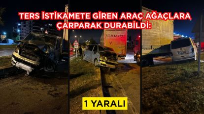 Ters istikamete giren araç ağaçlara çarparak durabildi: 1 yaralı