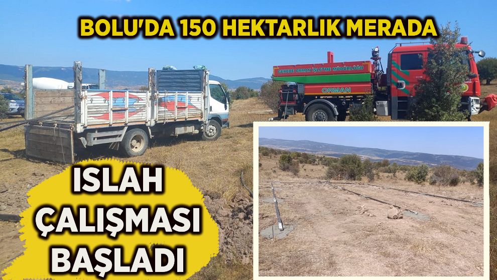 Bolu'da 150 hektarlık merada ıslah çalışması başladı