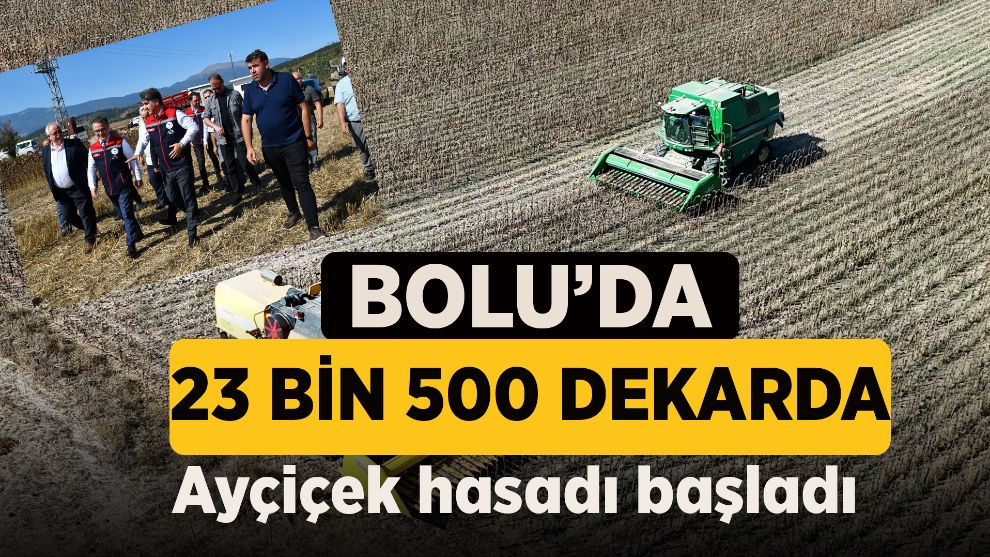 Bolu'da 23 bin 500 dekarda ayçiçek hasadı başladı