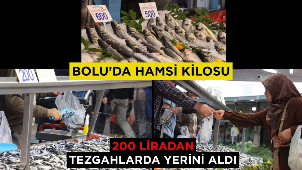 Bolu'da hamsi kilosu 200 liradan tezgahlarda yerini aldı