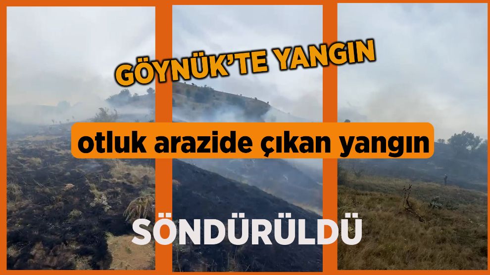 Bolu'da otluk arazide çıkan yangın söndürüldü